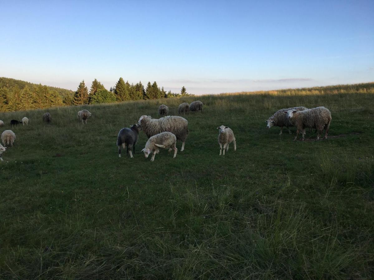 Hajovna Svahova Lägenhet Bolebor Exteriör bild