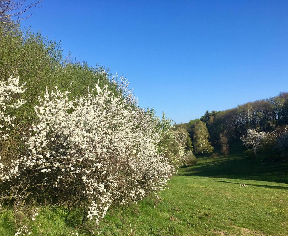 Hajovna Svahova Lägenhet Bolebor Exteriör bild